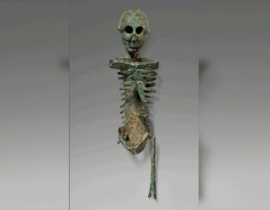 scheletro, larva convivialis