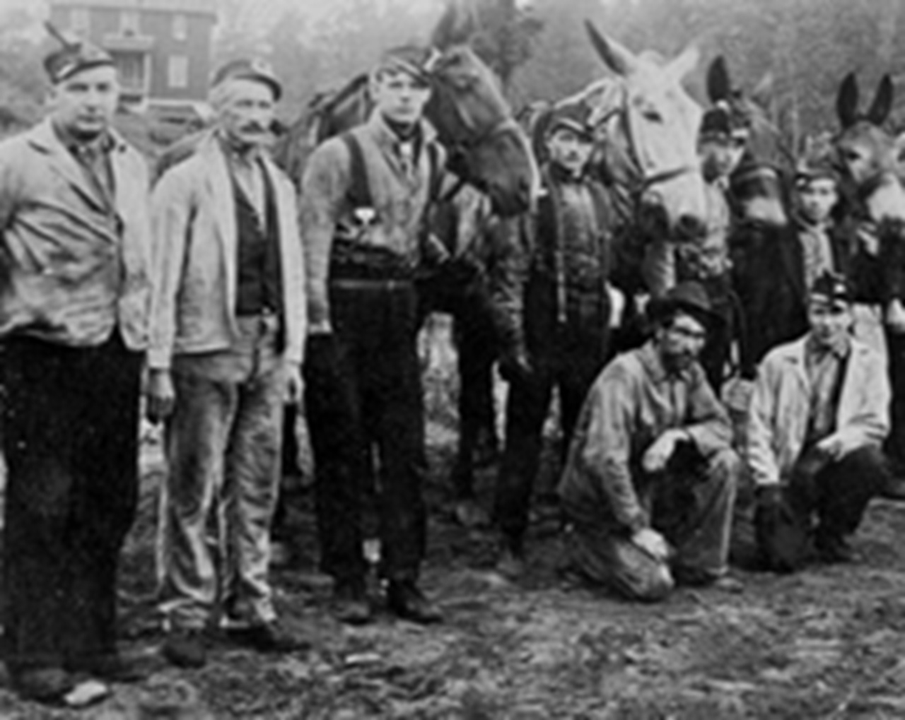 6 dicembre, minatori 