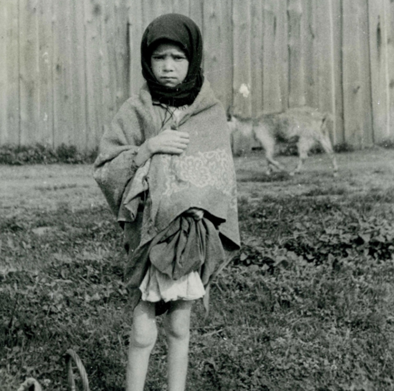 Holodomór bambino carestia Ucraina