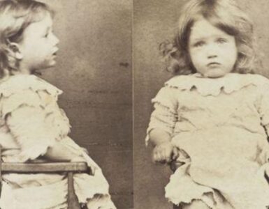 Foto del giorno: colpevole di aver rubato tutte le pere dal cesto!