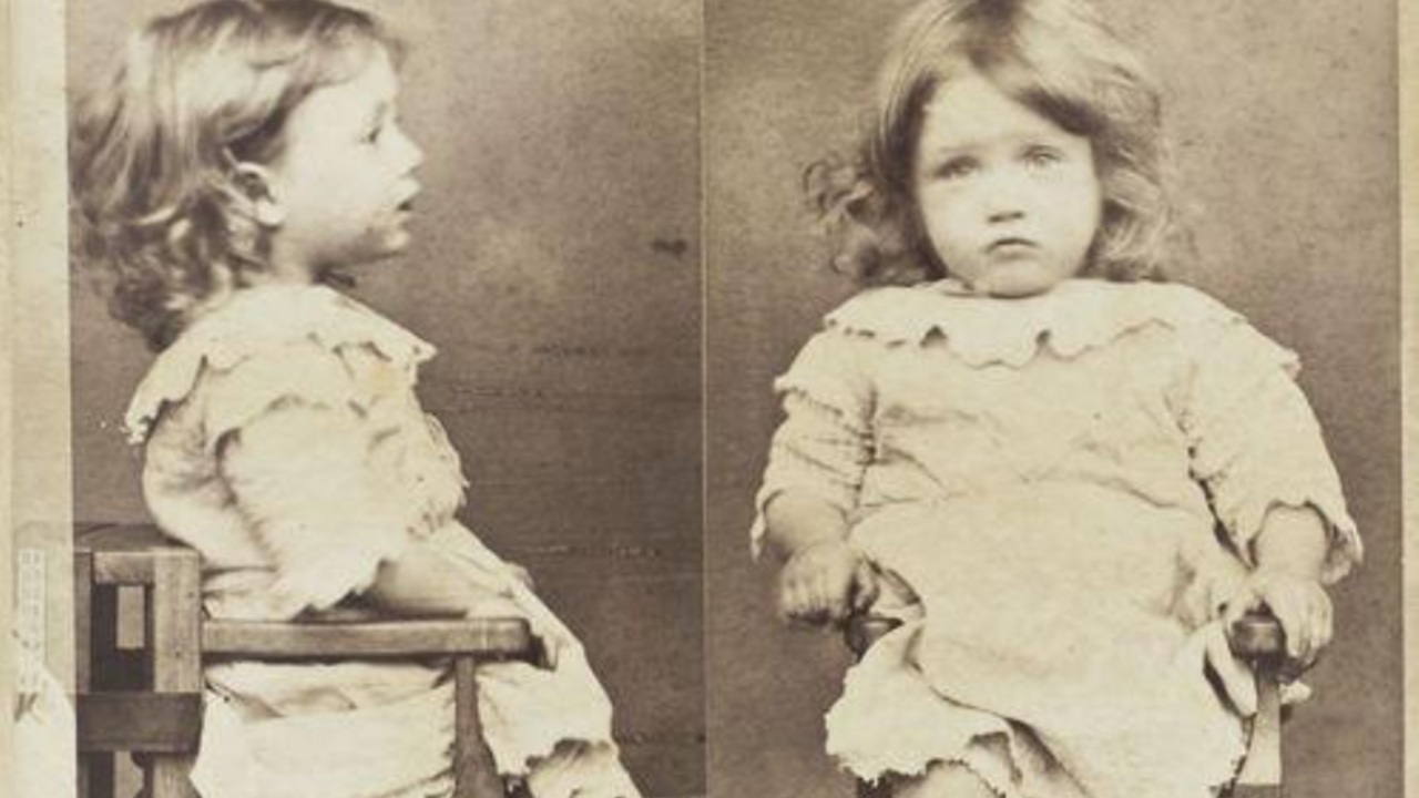 Foto del giorno: colpevole di aver rubato tutte le pere dal cesto!