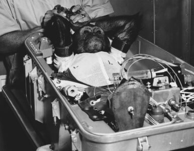 Foto del giorno: Enos, il simpatico scimpanzè mandato nello spazio