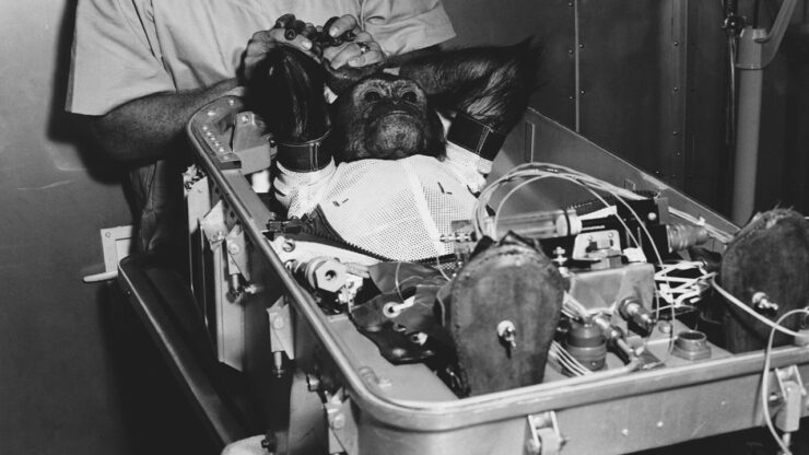 Foto del giorno: Enos, il simpatico scimpanzè mandato nello spazio