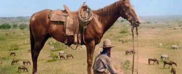 Foto del giorno: il crepuscolo del vecchio West