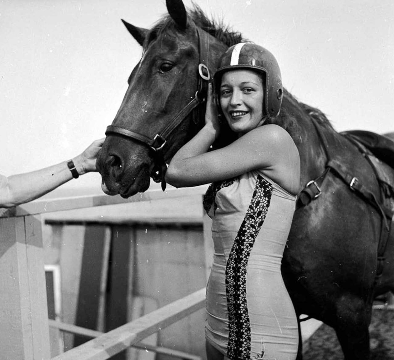 cavallo tuffatore Sonora Webster