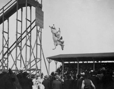 Foto del giorno: lo "spettacolo" acrobatico del cavallo tuffatore