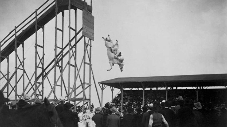 Foto del giorno: lo "spettacolo" acrobatico del cavallo tuffatore