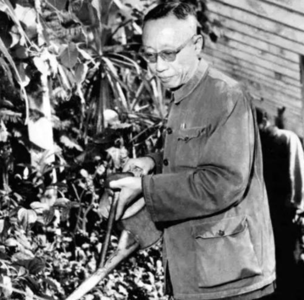 Pu Yi orto botanico Pechino