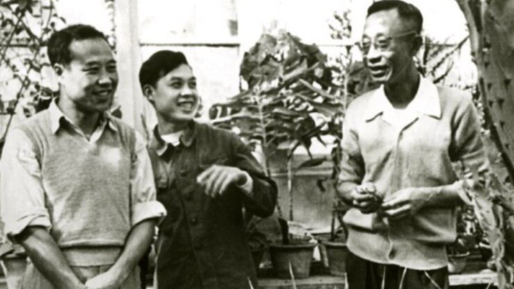 Foto del giorno: Pu Yi, un imperatore reinventato giardiniere