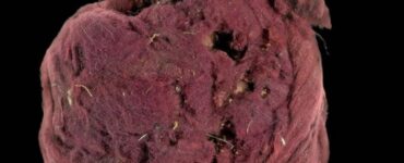 frode e truffa romana