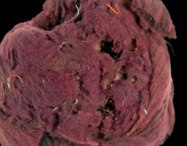 frode e truffa romana