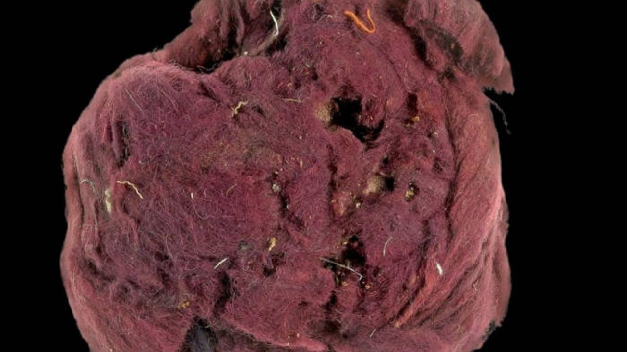 frode e truffa romana