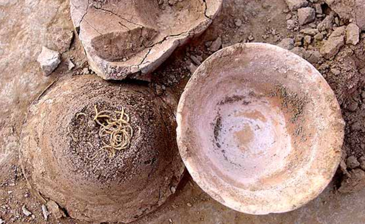 pasta scavi archeologici Cina noodles