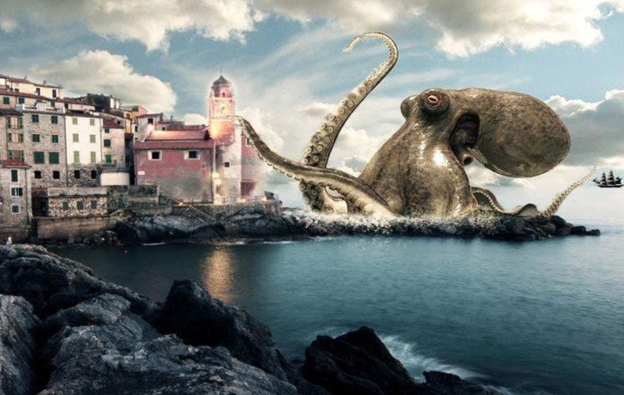 Polpo gigante immagine