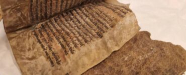 libro norvegia pelle foca