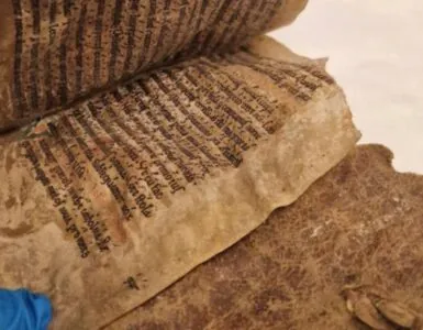 libro norvegia pelle foca