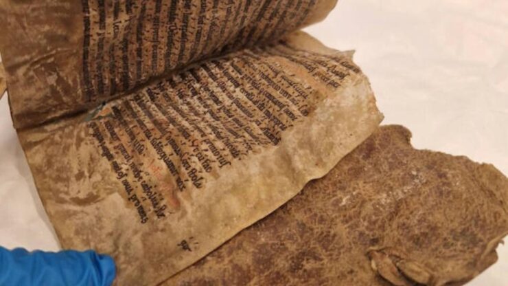 libro norvegia pelle foca