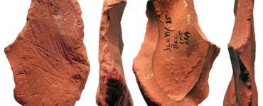 neanderthal strumenti disegno