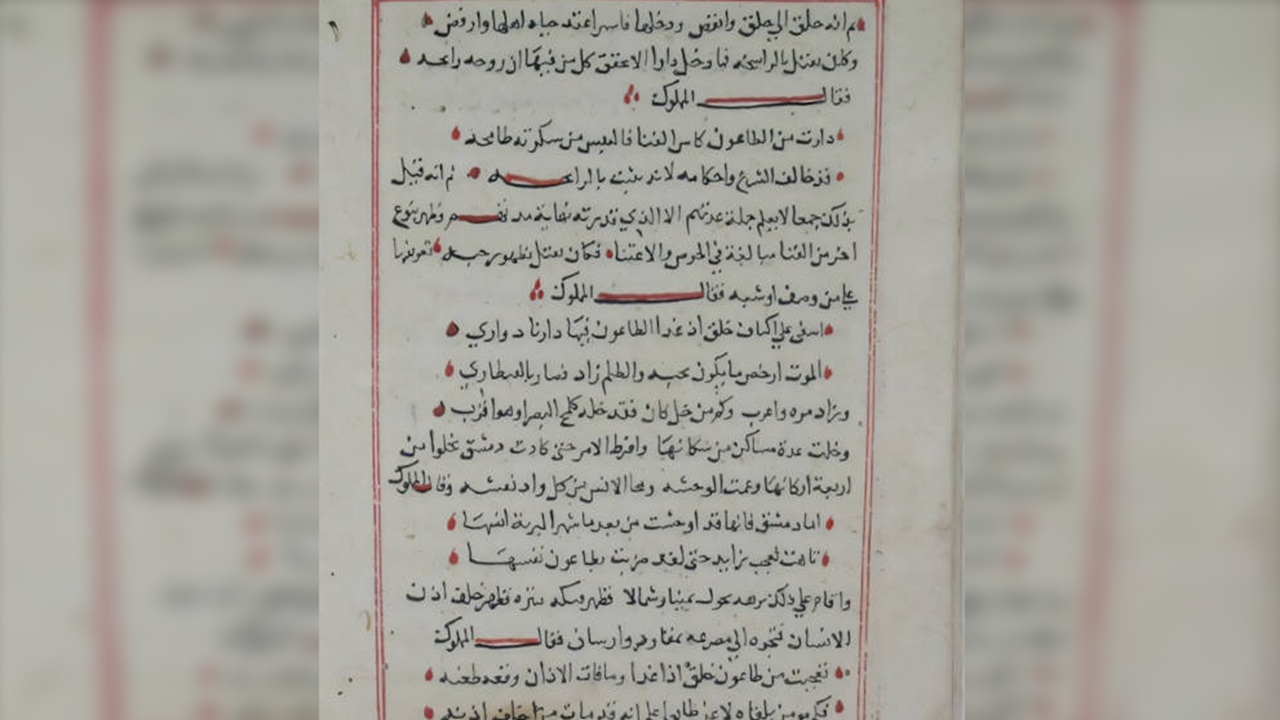 peste falsa racconto