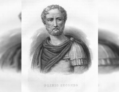 plinio vecchio immagine