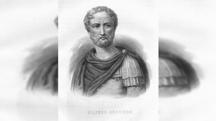 plinio vecchio immagine