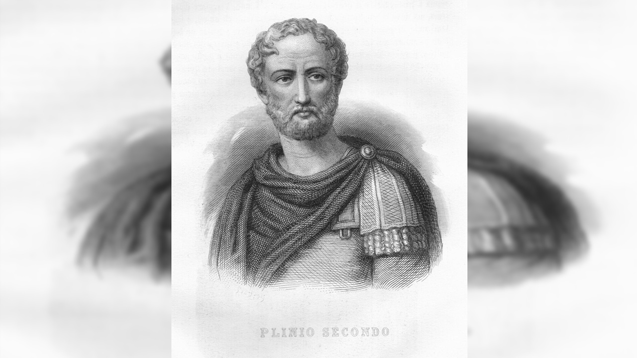 plinio vecchio immagine