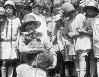 rebecca procione casa bianca