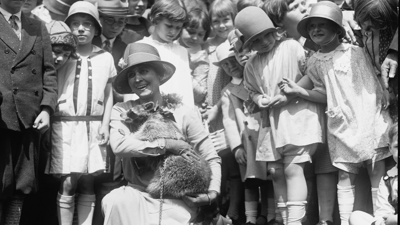 rebecca procione casa bianca