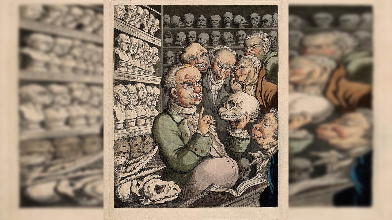 franz joseph gall crani