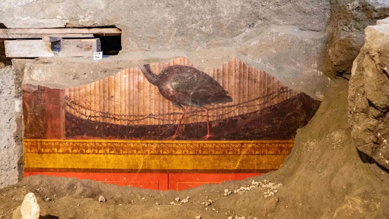 affreschi villa oplontis