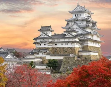 Anatomia di un castello giapponese