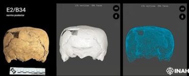 cranio quadrato cubico