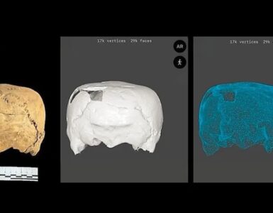 cranio quadrato cubico