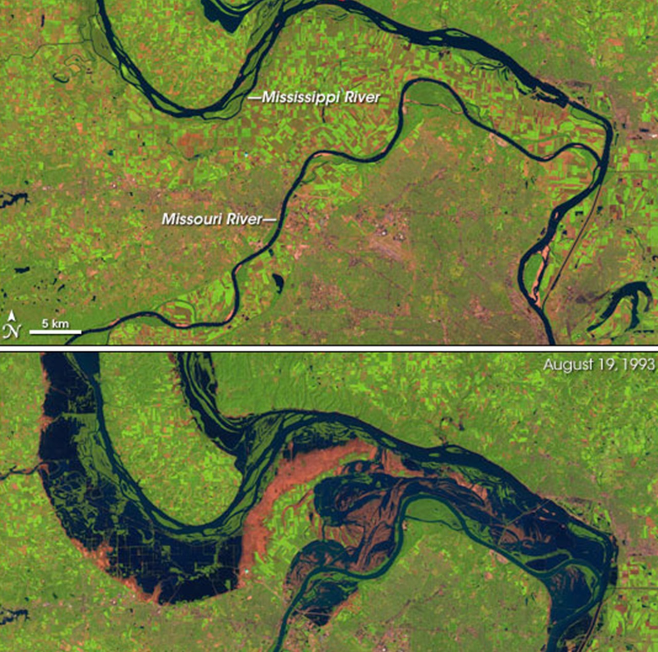 Mississippi fotografia satellitare 1993