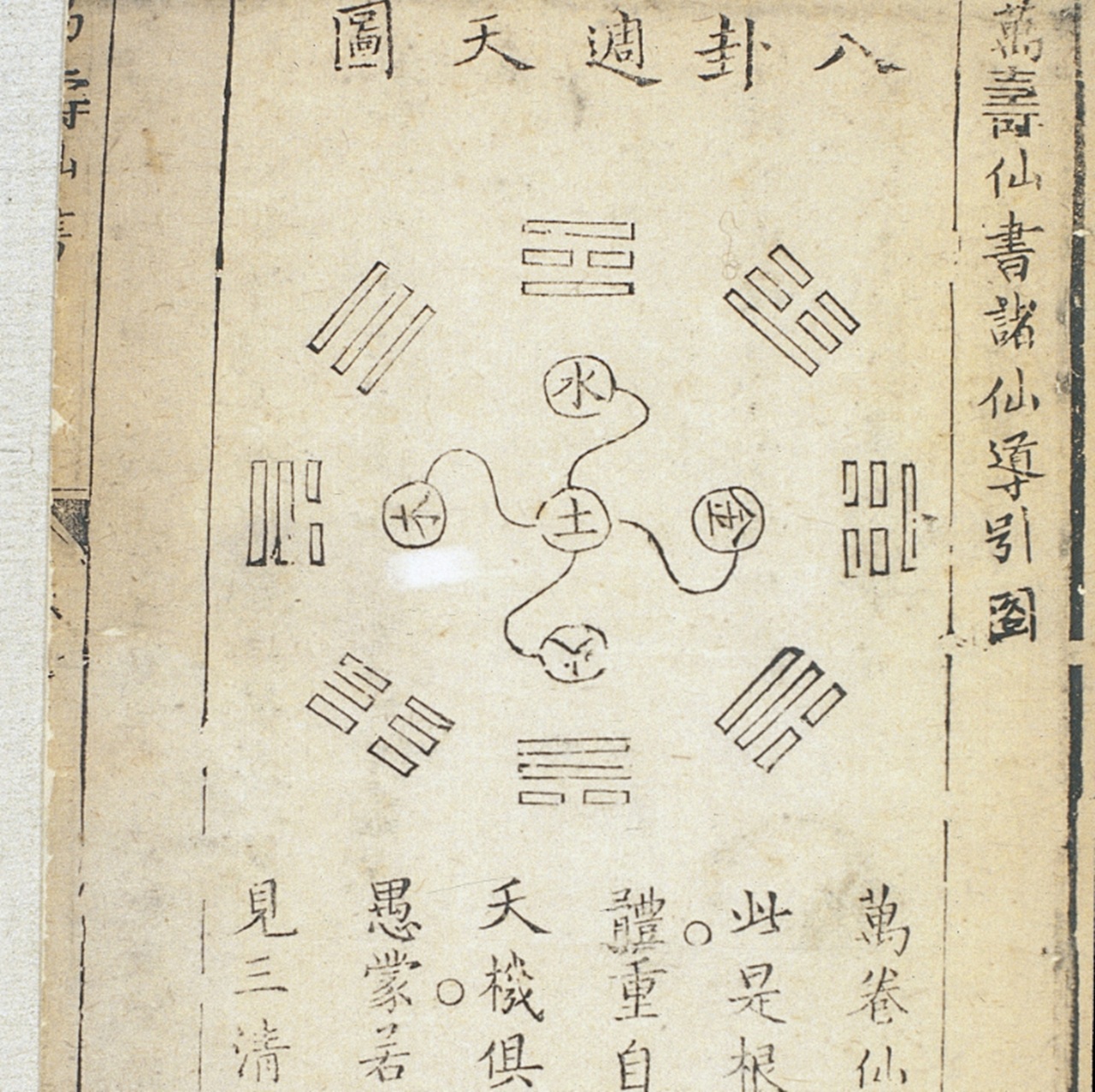 256 anni libro sull'immortalità