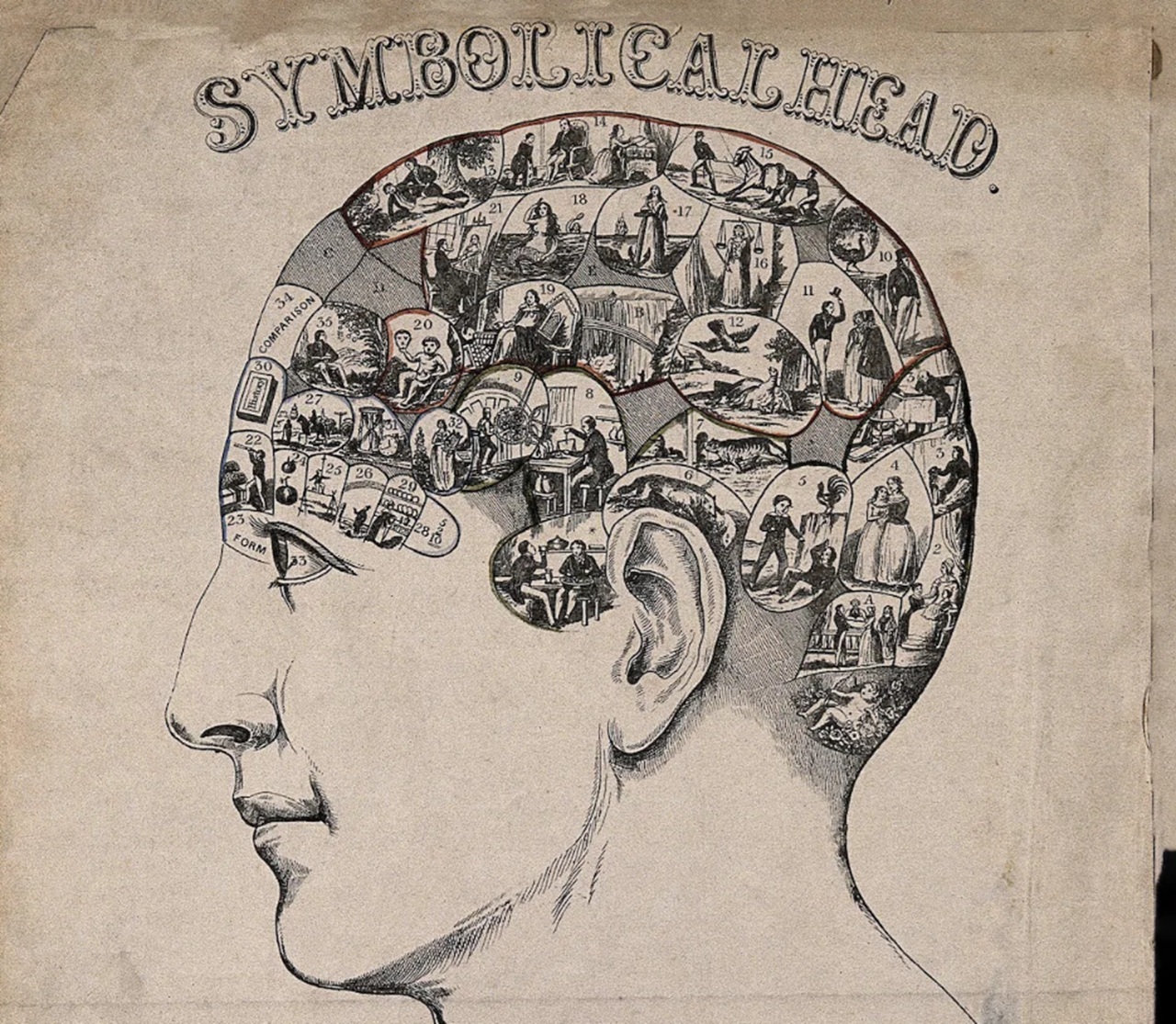 Solomon Šereševskij memoria