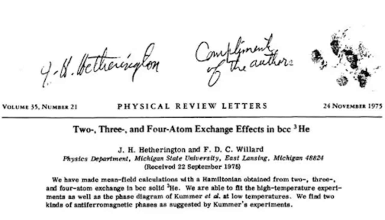 gatto studio recante firma felina