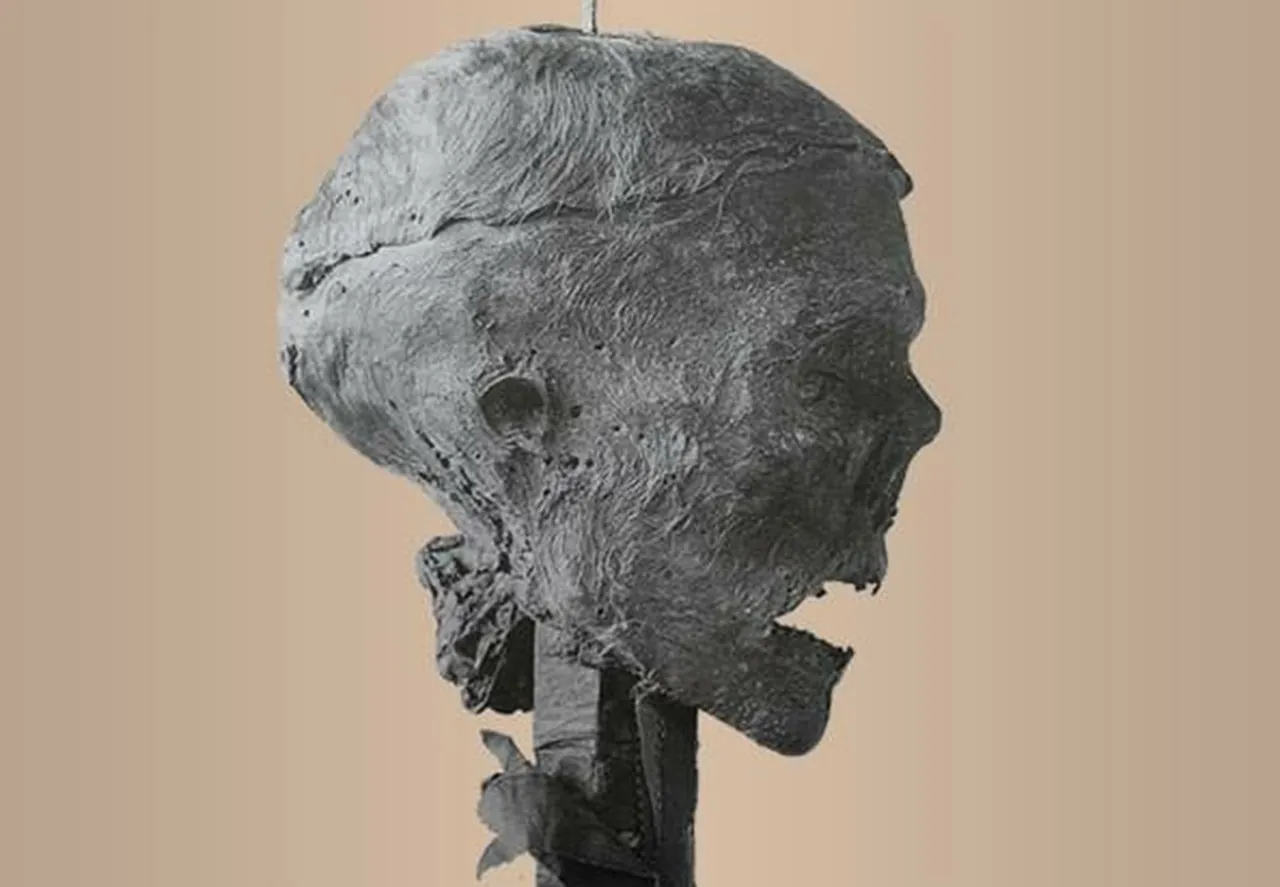 30 gennaio testa Cromwell ipotetica