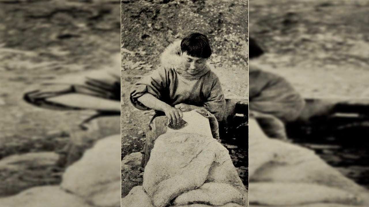 ada blackjack con foca