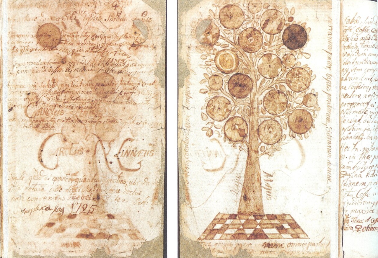 Carlo Linneo nome binomiale