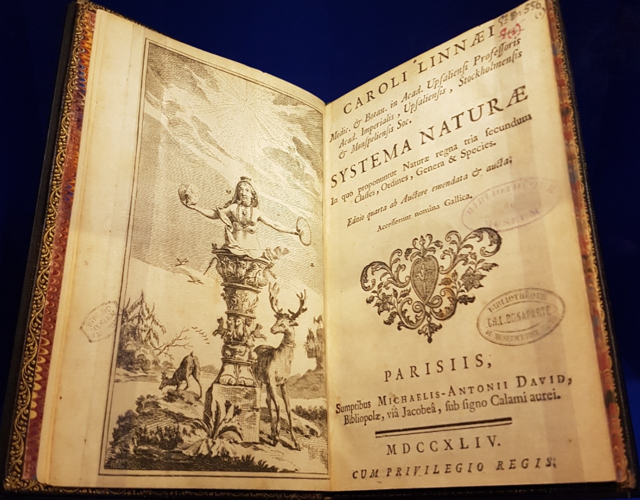 Carlo Linneo Systema Naturae