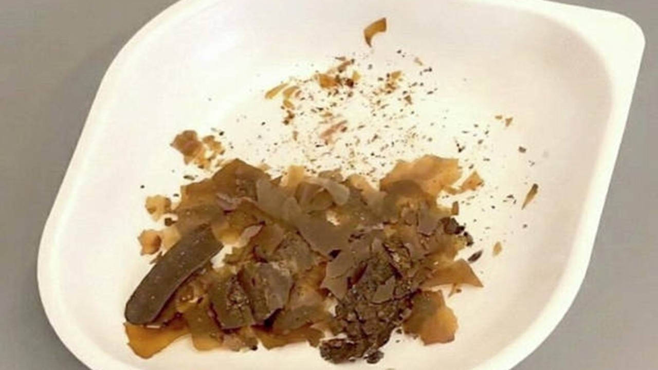 escrementi medicina campione