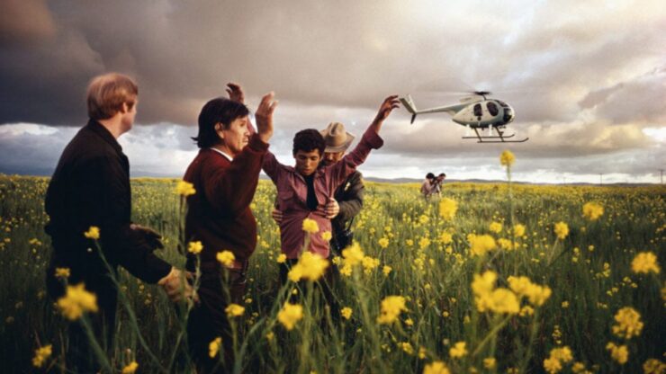 Foto del giorno: i colori della frontiera proibita