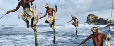 Foto del giorno: i funambolici pescatori di Weligama