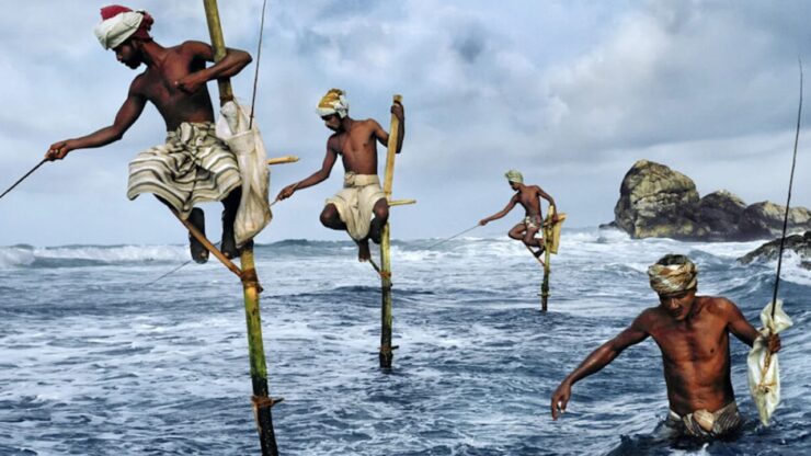Foto del giorno: i funambolici pescatori di Weligama