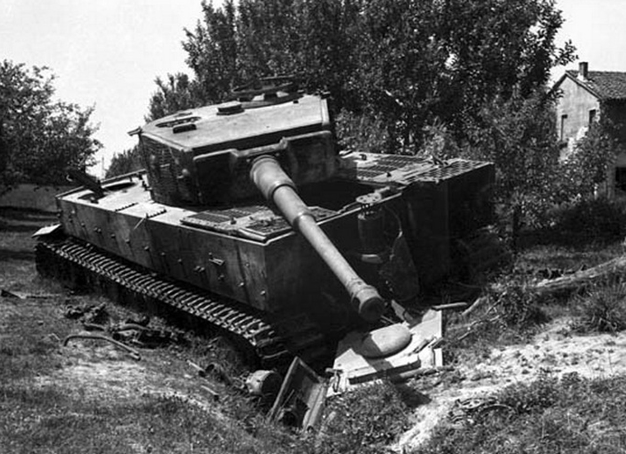 Tiger distrutto Campagna d'Italia