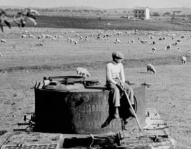 Foto del giorno: il Tiger e il pastore