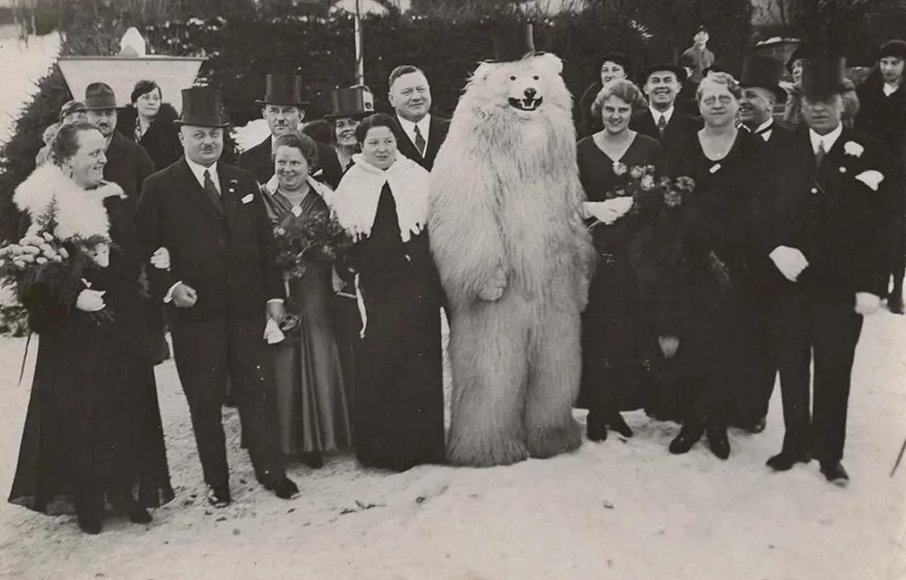 orso polare festa popolare