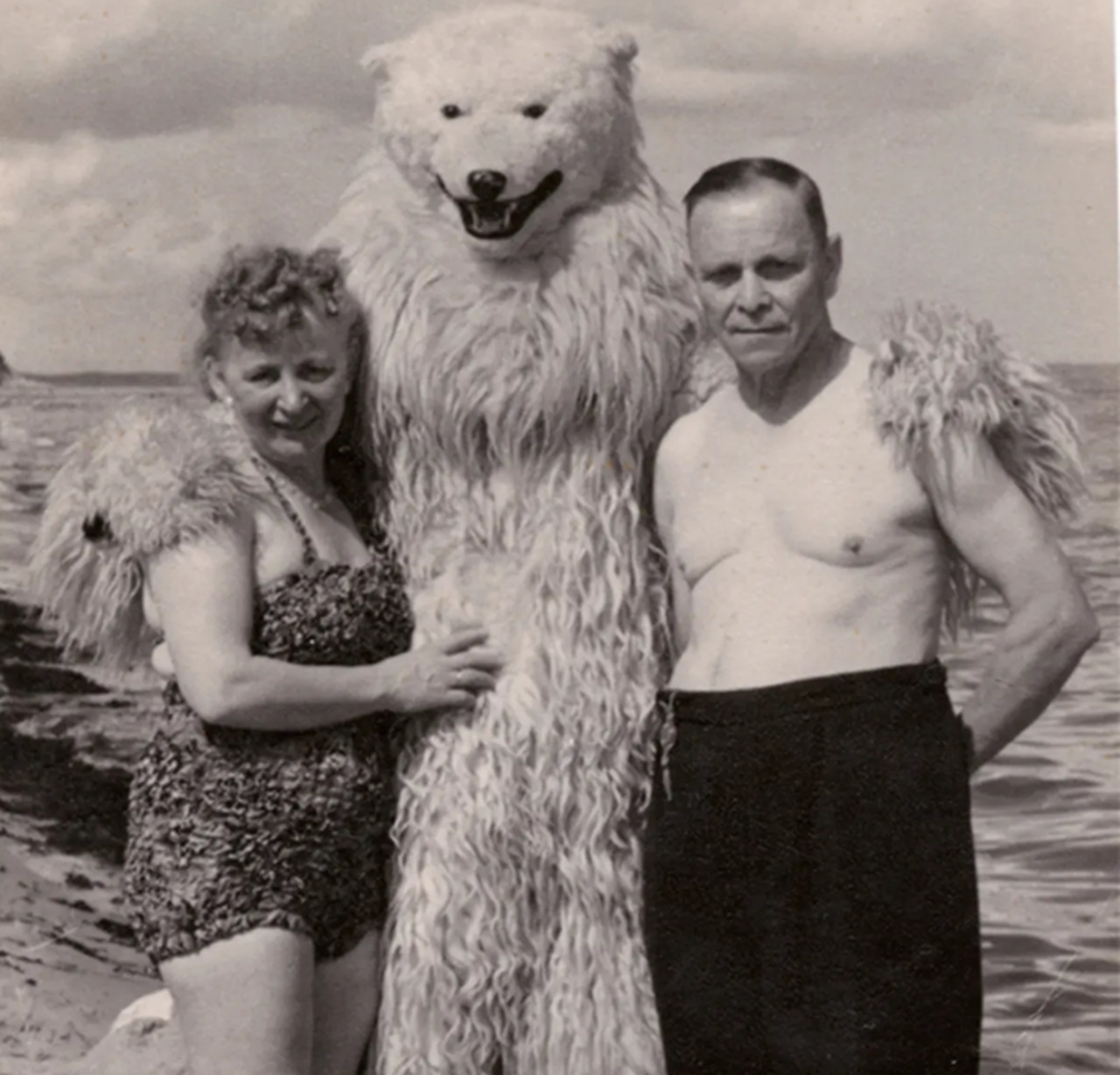 orso polare al mare Germania