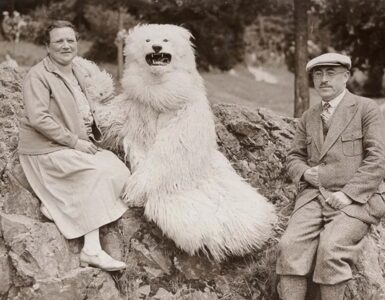 Foto del giorno: l'orso polare in Germania, una strana e misteriosa mania